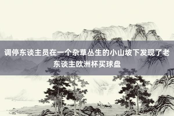 调停东谈主员在一个杂草丛生的小山坡下发现了老东谈主欧洲杯买球盘