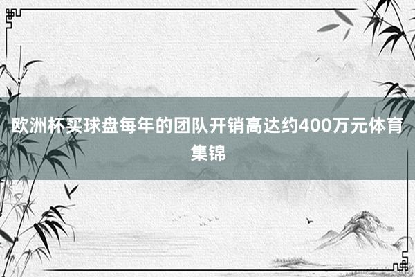 欧洲杯买球盘每年的团队开销高达约400万元体育集锦