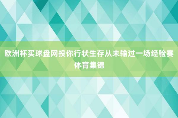 欧洲杯买球盘网投你行状生存从未输过一场经验赛体育集锦