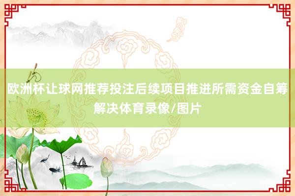 欧洲杯让球网推荐投注后续项目推进所需资金自筹解决体育录像/图片