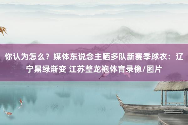 你认为怎么？媒体东说念主晒多队新赛季球衣：辽宁黑绿渐变 江苏整龙袍体育录像/图片