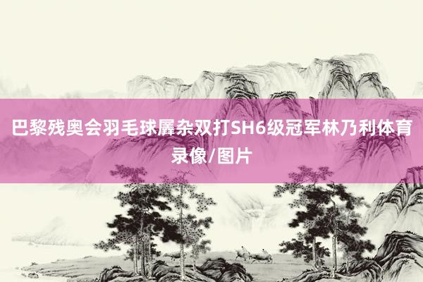 巴黎残奥会羽毛球羼杂双打SH6级冠军林乃利体育录像/图片