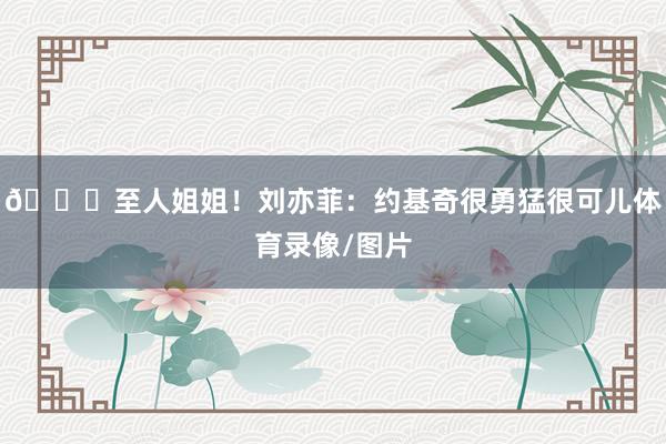 💗至人姐姐！刘亦菲：约基奇很勇猛很可儿体育录像/图片