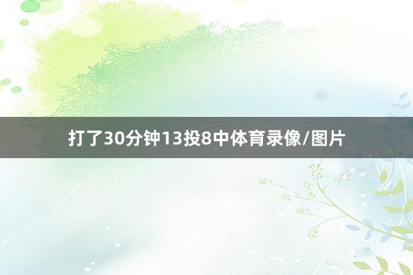 打了30分钟13投8中体育录像/图片